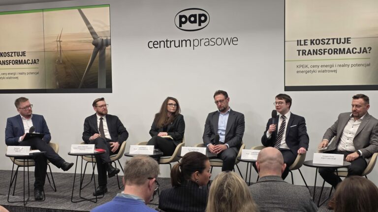 Wiatr okazją do&nbsp;tańszej energii? Zyskać mają i&nbsp;konsumenci i&nbsp;budżet państwa