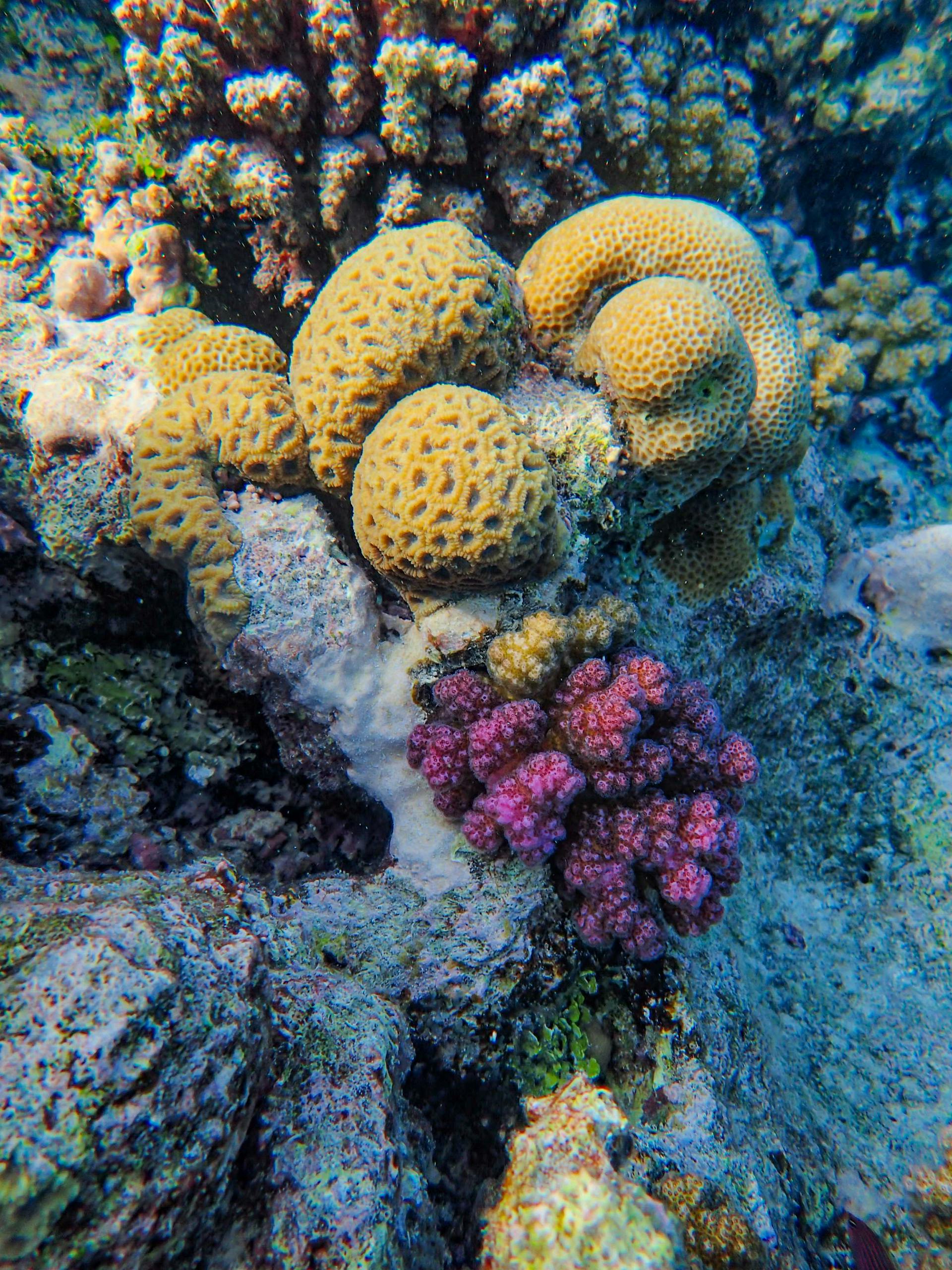 Image illustrating the article